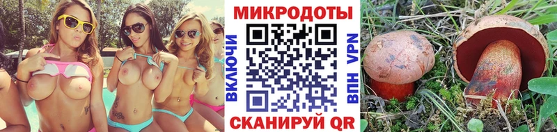 купить наркоту  Кирс  Псилоцибиновые грибы мухоморы 
